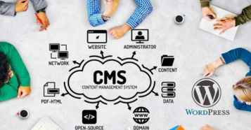 Website Development & CMS